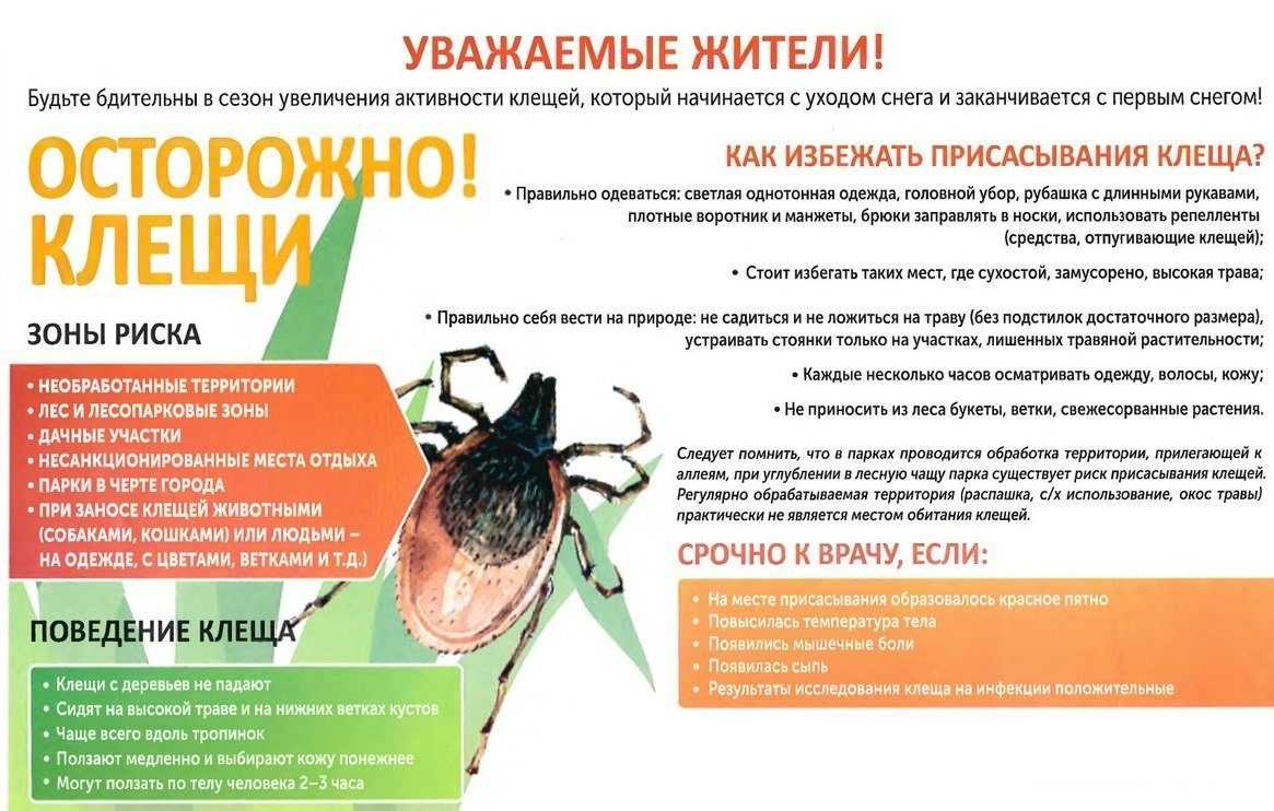 ГБУ «Комплексный центр социального обслуживания населения городского округа  город Выкса» - minsoc - blog - Results from #20300